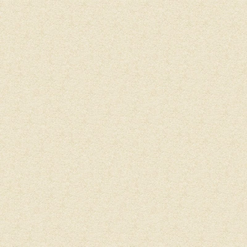 Vero Beach carpet by Masland