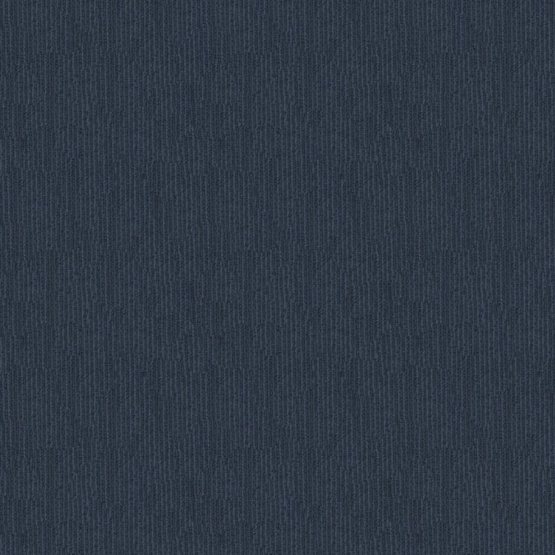 Belmond carpet by Masland