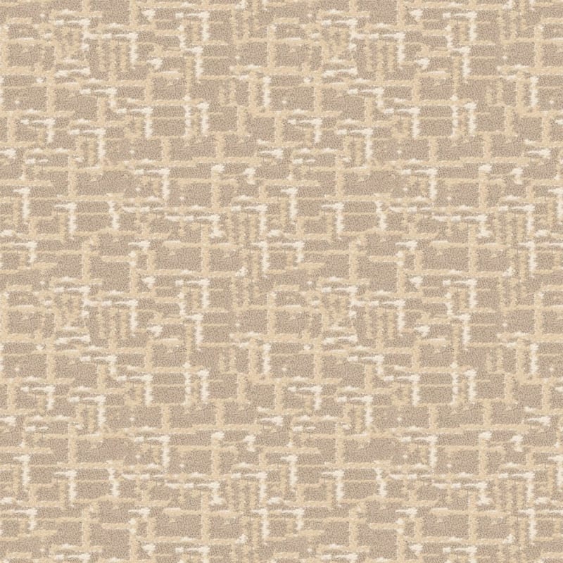 Censor carpet by Masland