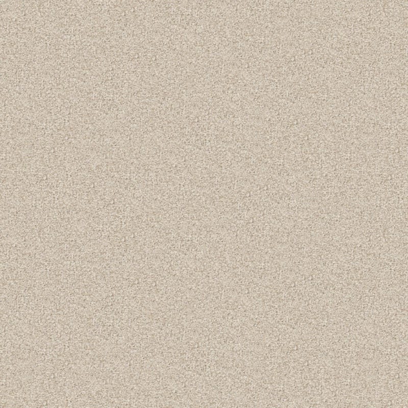Tracker carpet by Masland