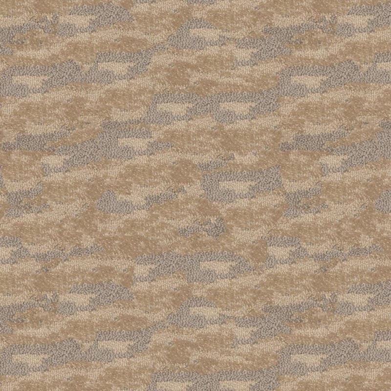Cosmo carpet by Masland