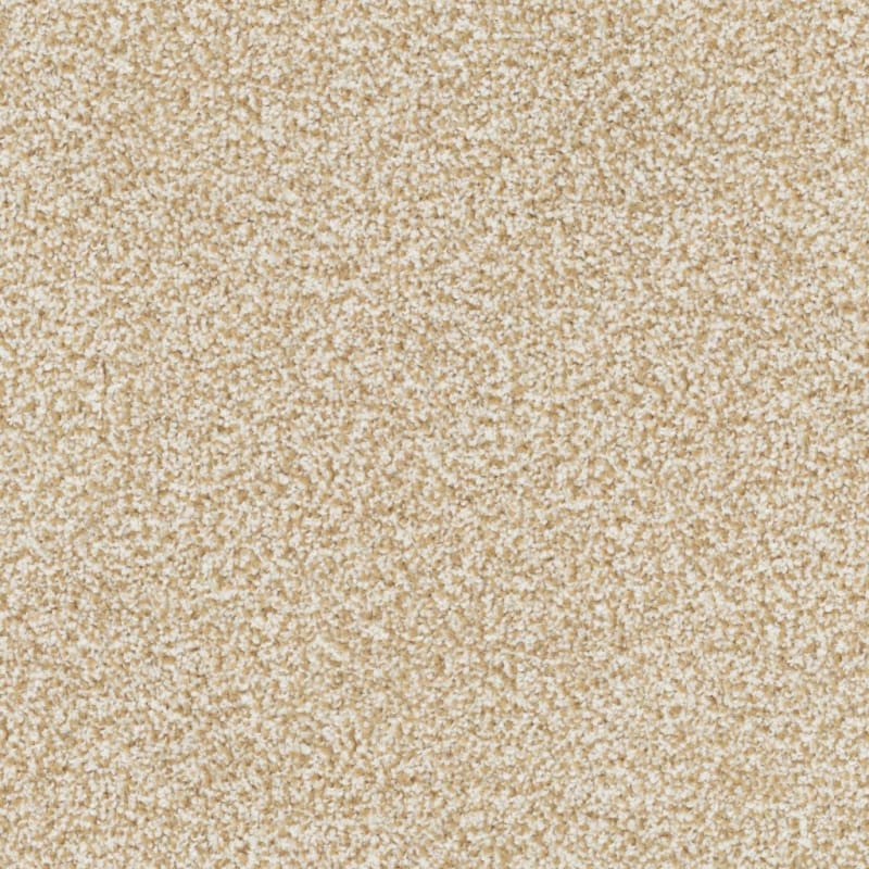 Sunset Key carpet by Masland