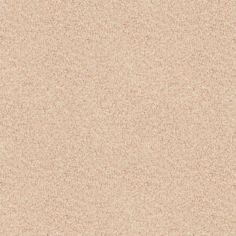 Santa Rosa carpet by Masland