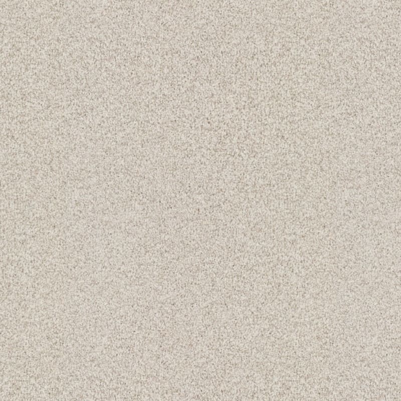Santa Rosa carpet by Masland