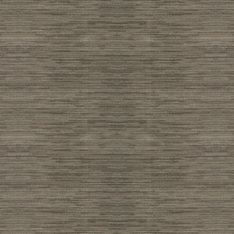 Vivacity carpet by Masland