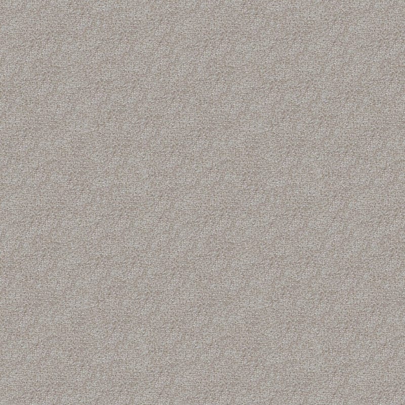Delray carpet by Masland