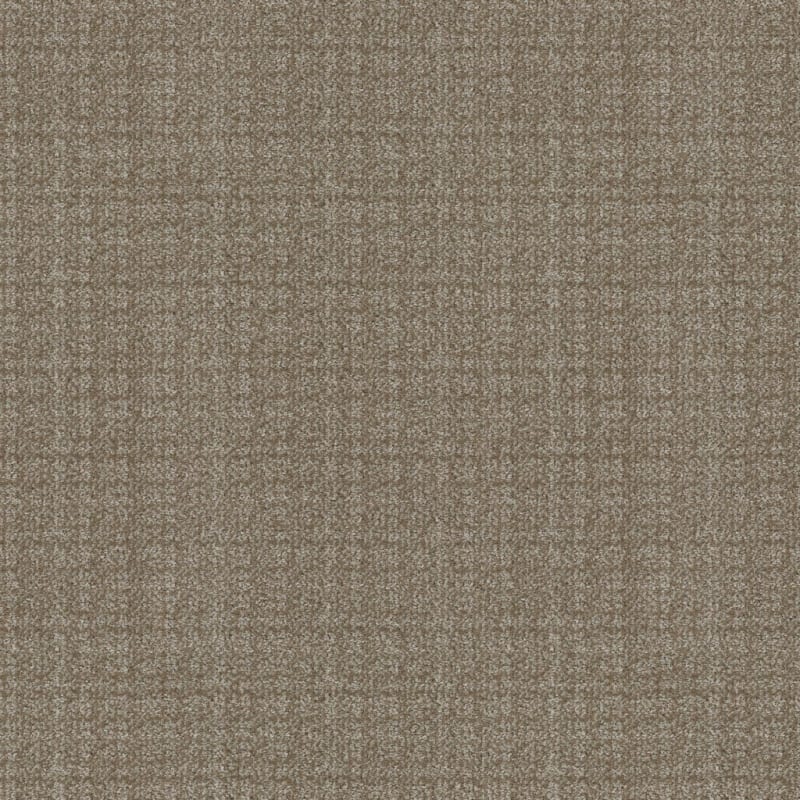 Purebred carpet by Masland