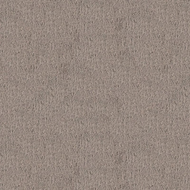 Santa Barbara carpet by Masland