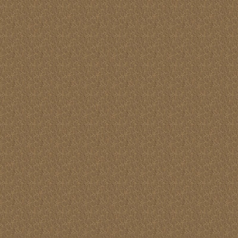 Casa Grande carpet by Masland
