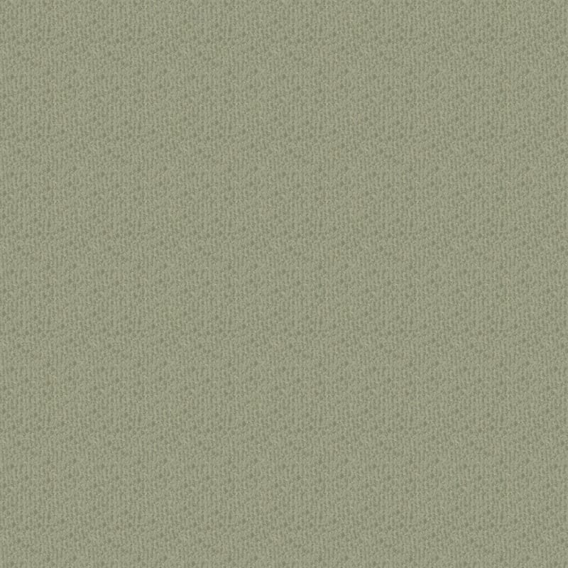 Pinehurst carpet by Masland