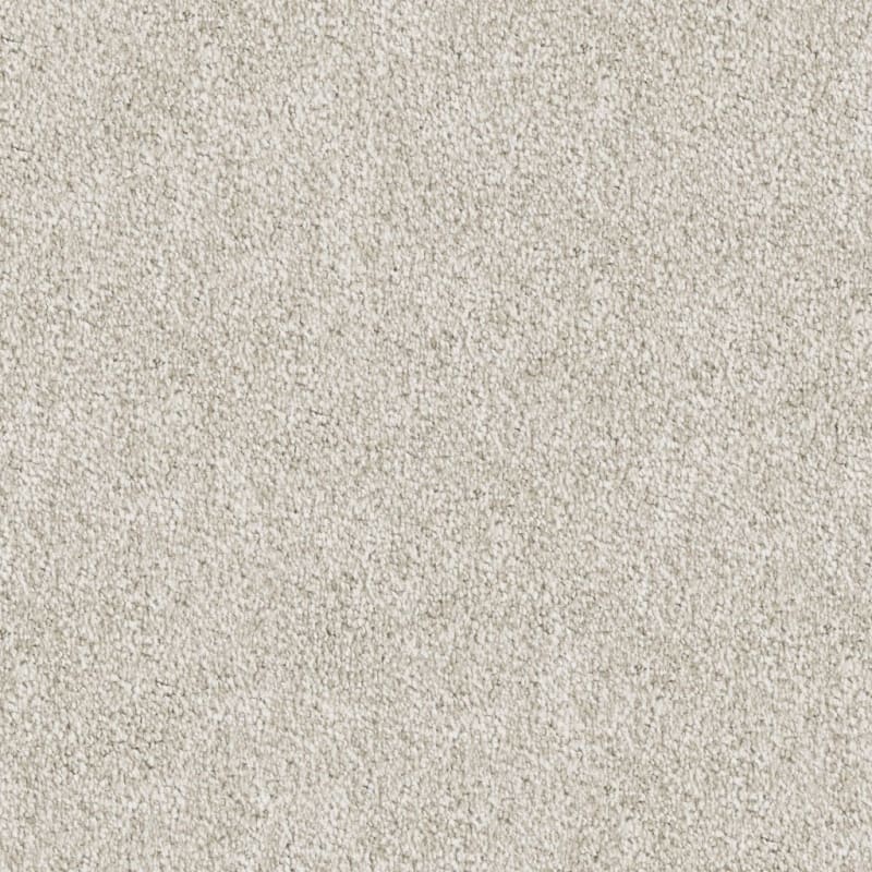 Buena Vida carpet by Masland