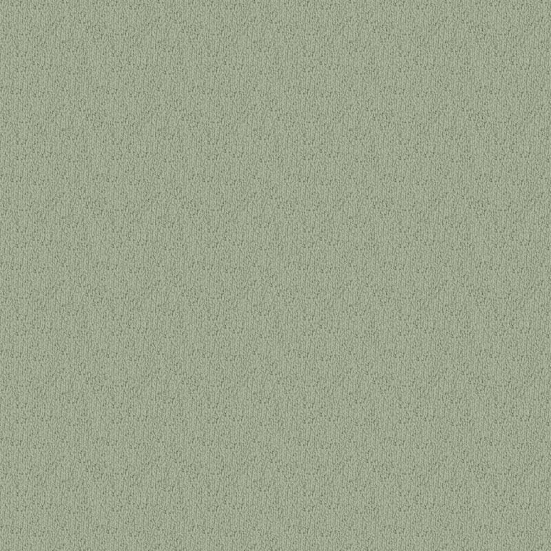 Novellino carpet by Masland