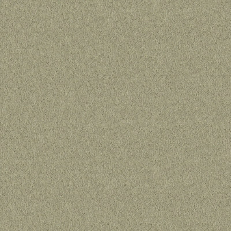 Panache carpet by Masland