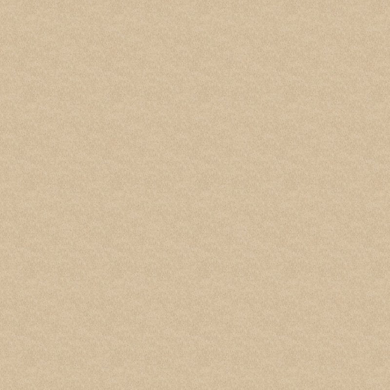 Miami carpet by Masland