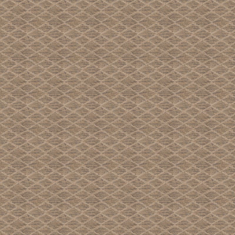 Mantra carpet by Masland