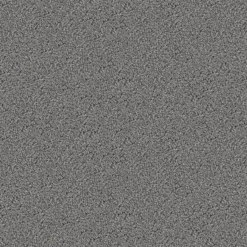 Tracker carpet by Masland