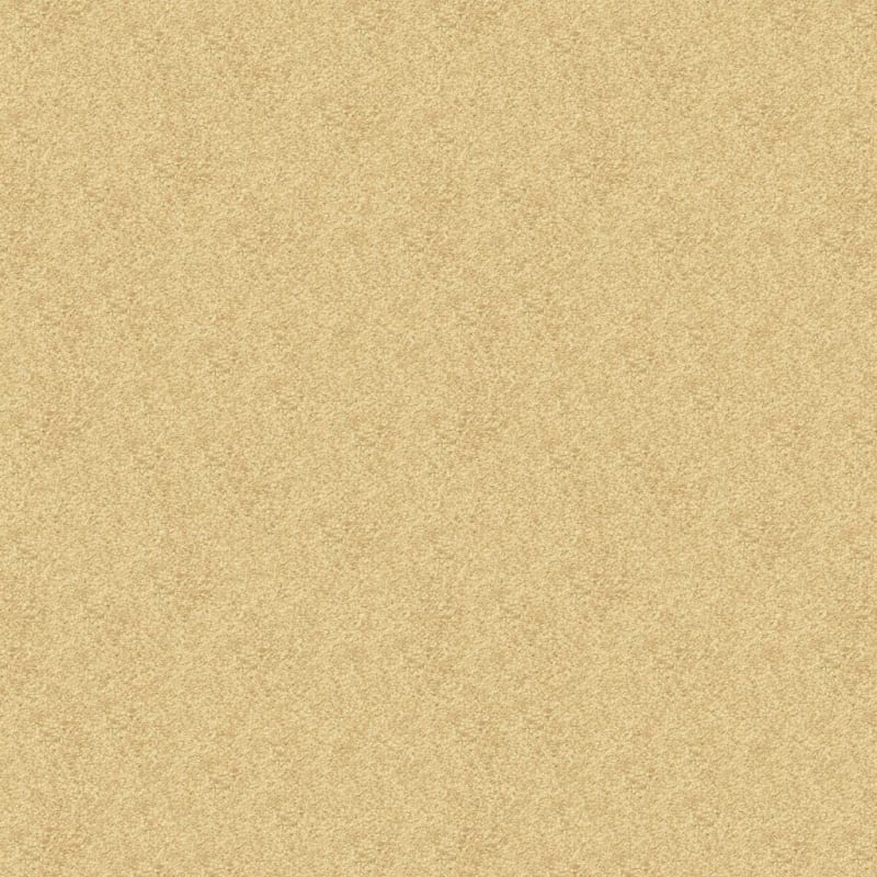 Vero Beach carpet by Masland