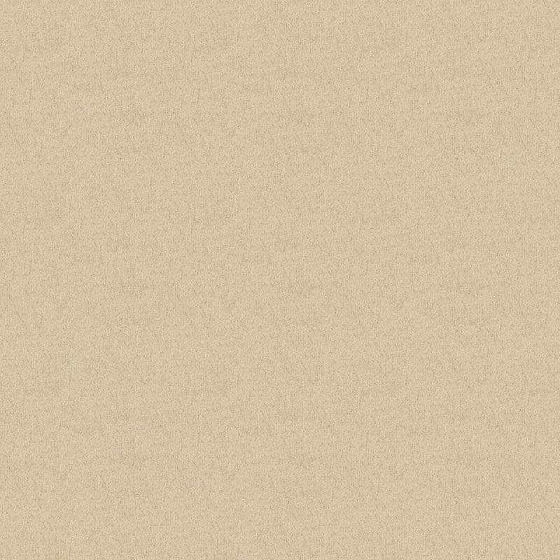 Key West carpet by Masland