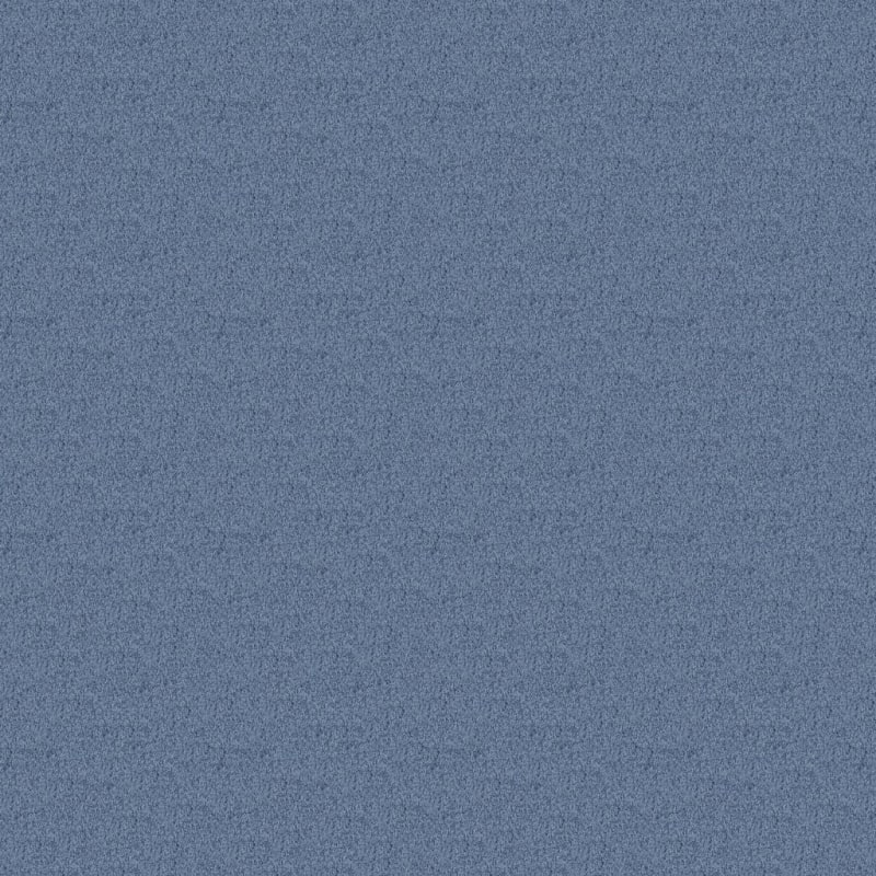 Key West carpet by Masland