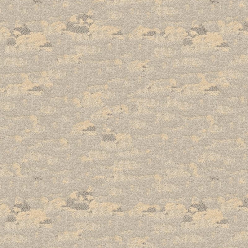 Cosmo carpet by Masland