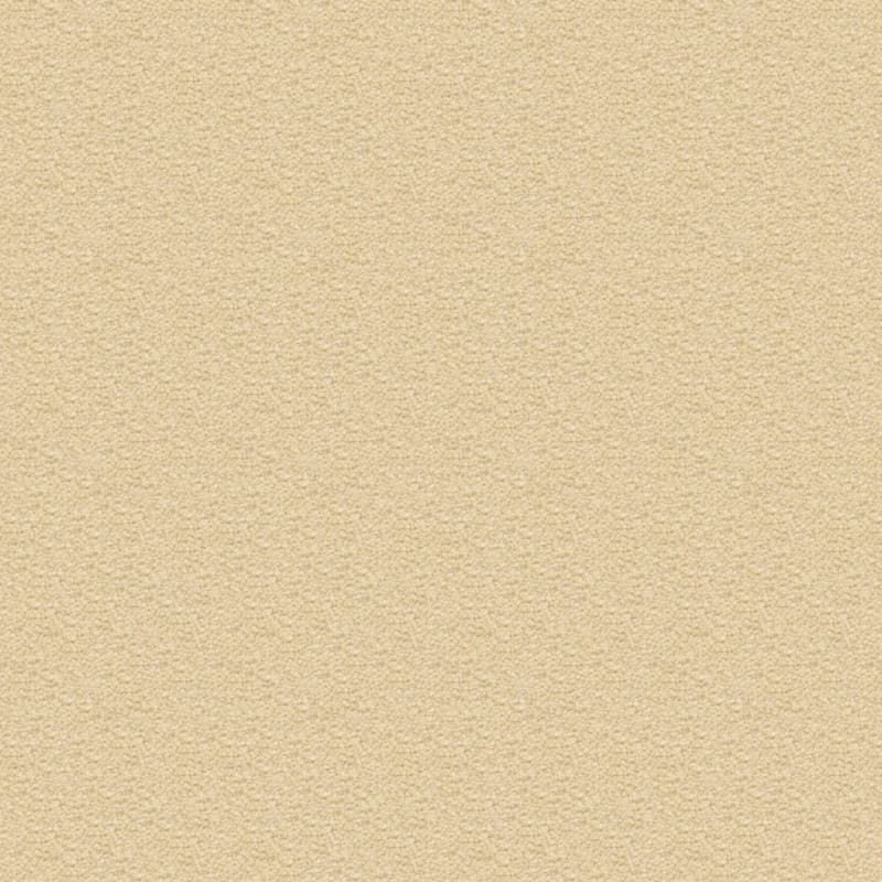 Ravishing carpet by Masland