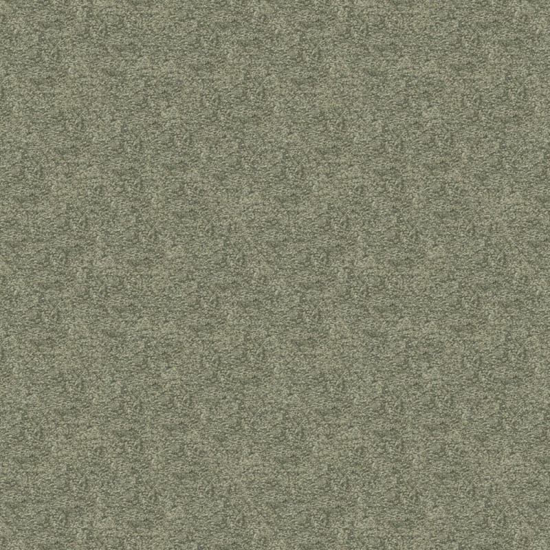 Vero Beach carpet by Masland