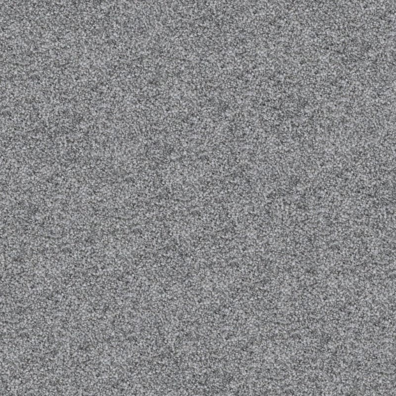 Boca Raton carpet by Masland