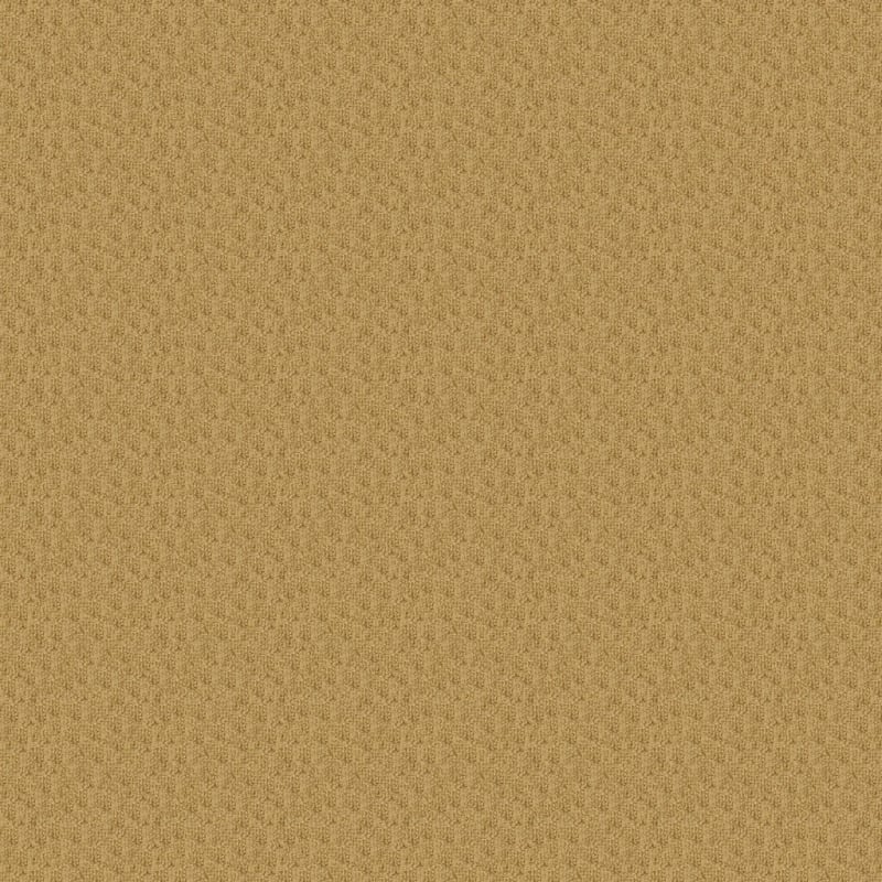Casa Grande carpet by Masland