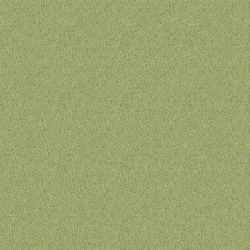 Panache carpet by Masland