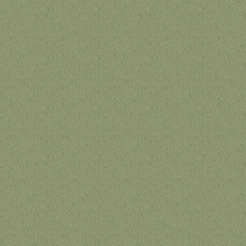 Panache carpet by Masland