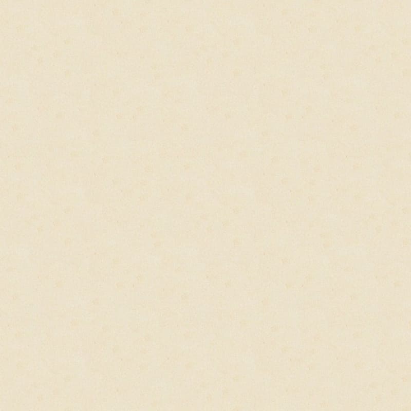 Americana carpet by Masland