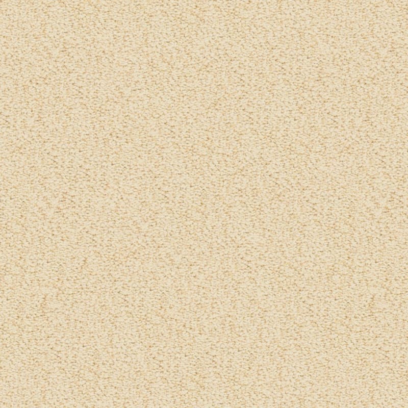 Marina Del Mar carpet by Masland