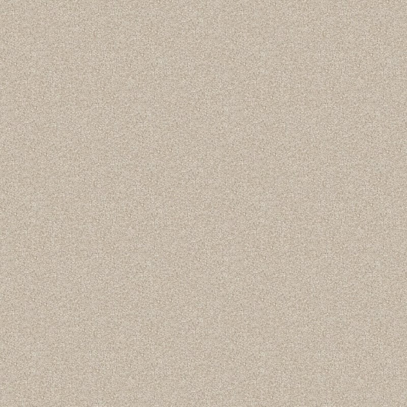 Hunter carpet by Masland