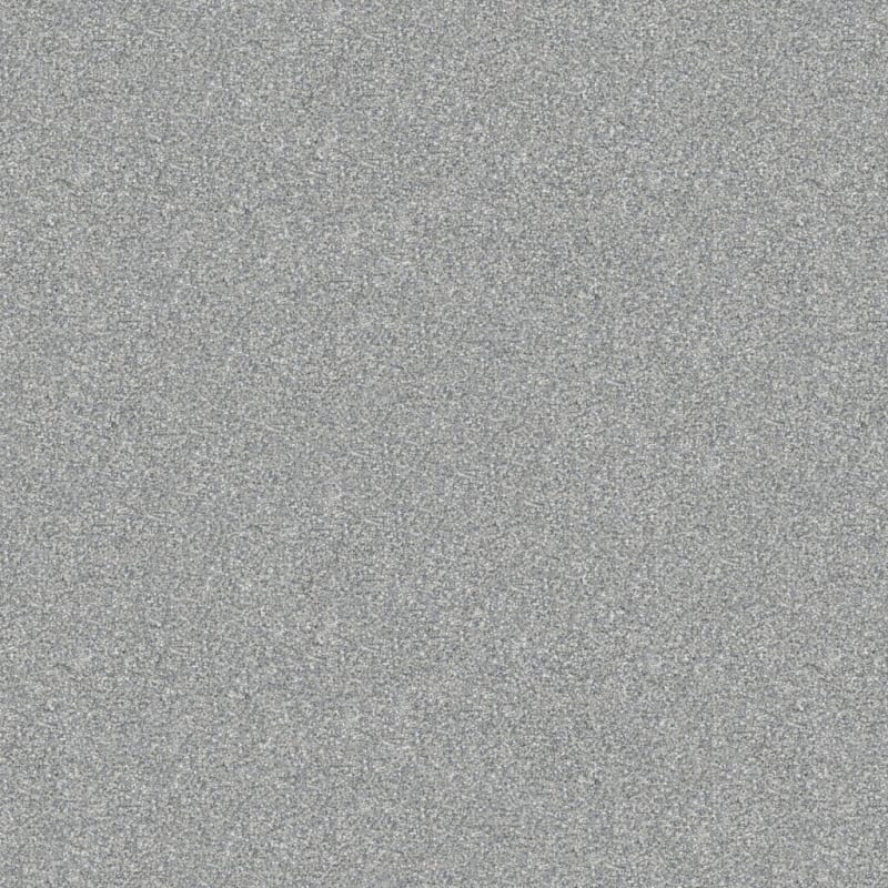 Tracker carpet by Masland