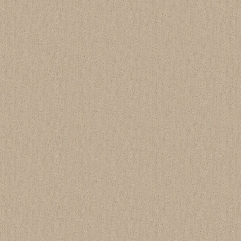 Nature'S Essence carpet by Masland