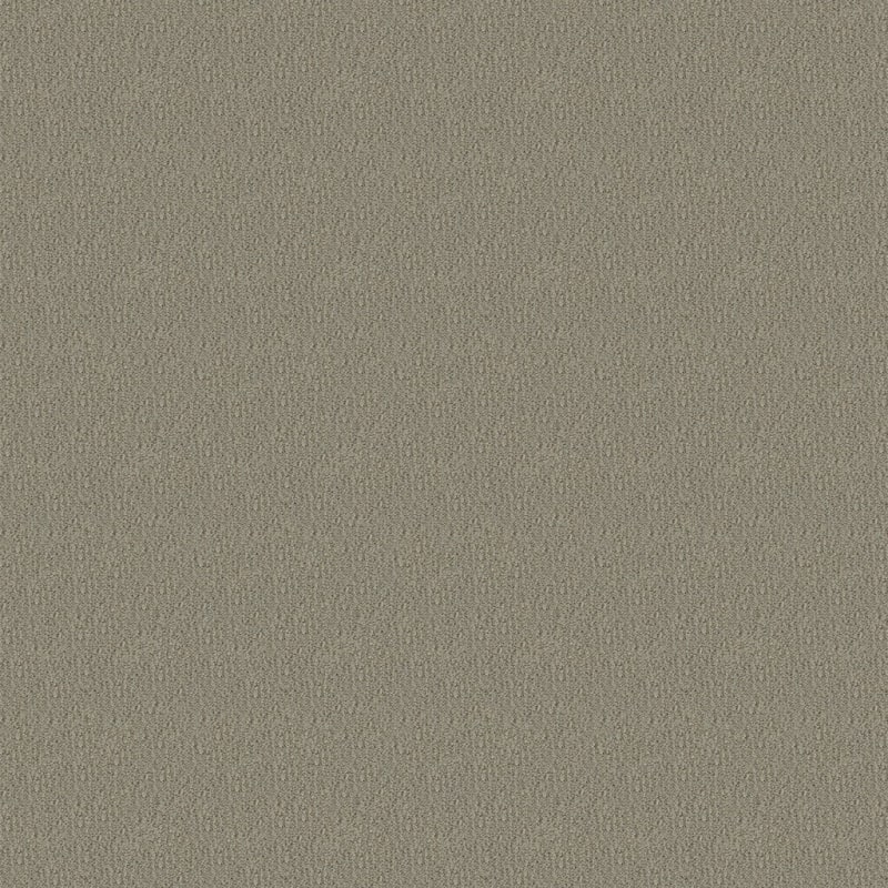 Panache carpet by Masland
