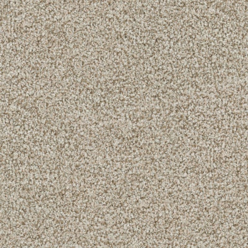 St. Augustine carpet by Masland