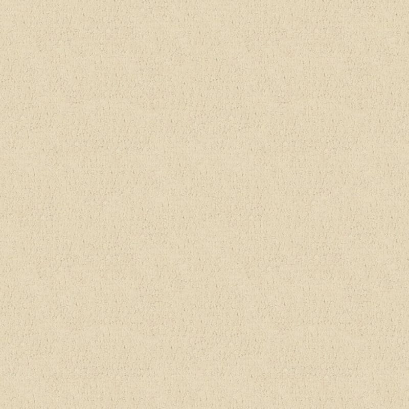 Matisse carpet by Masland