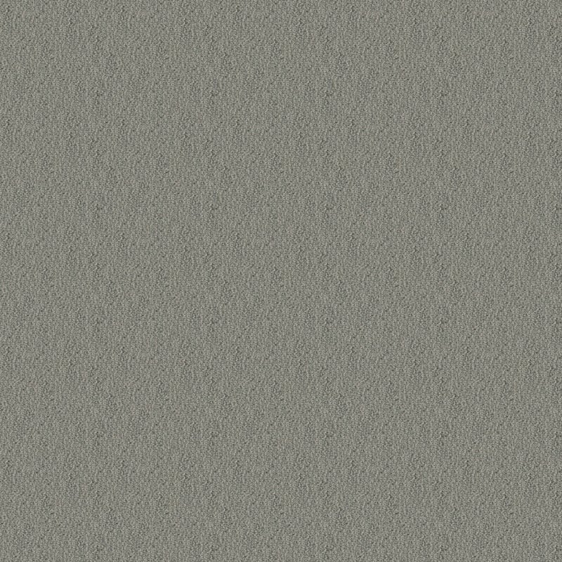 Panache carpet by Masland