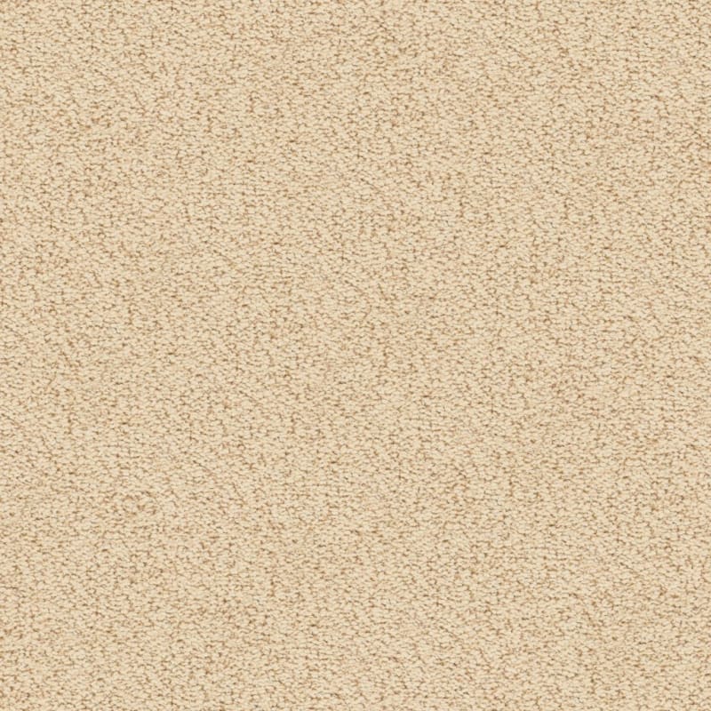 Marina Del Mar carpet by Masland
