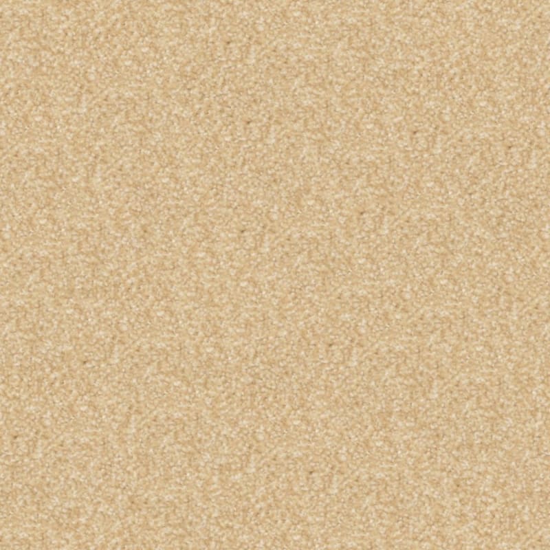 Beacon Hill carpet by Masland
