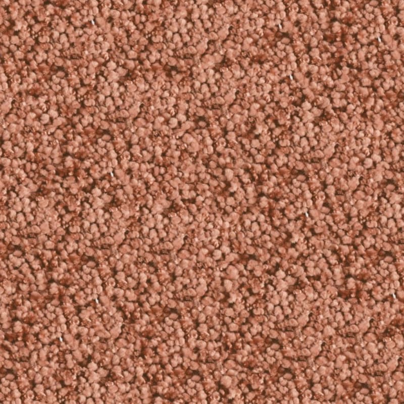 Shangri-La carpet by Masland