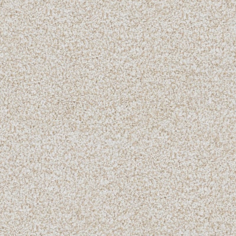 St. Augustine carpet by Masland
