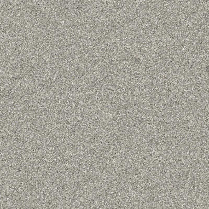 Tracker carpet by Masland