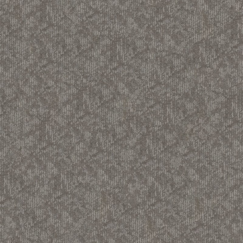 Coast carpet by Masland