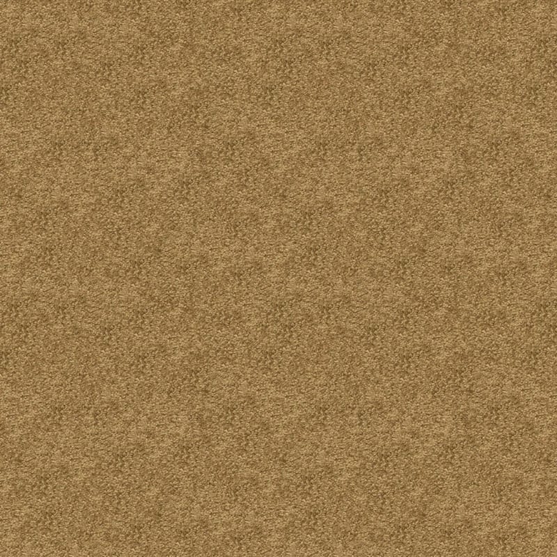 Vero Beach carpet by Masland