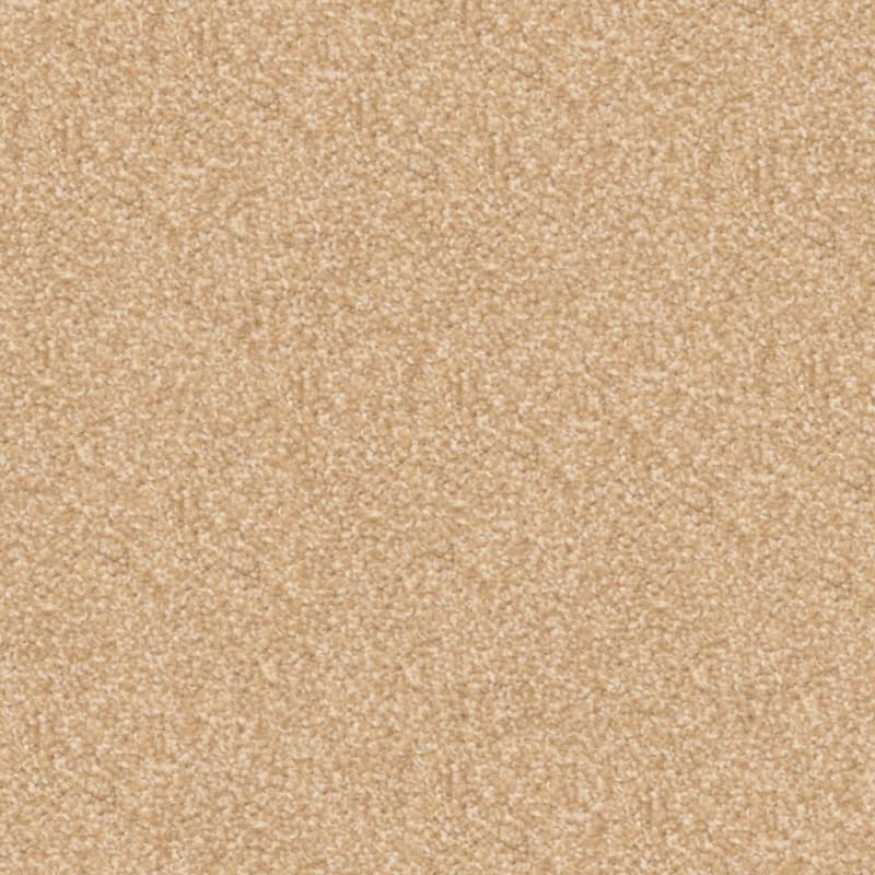 Beacon Hill carpet by Masland