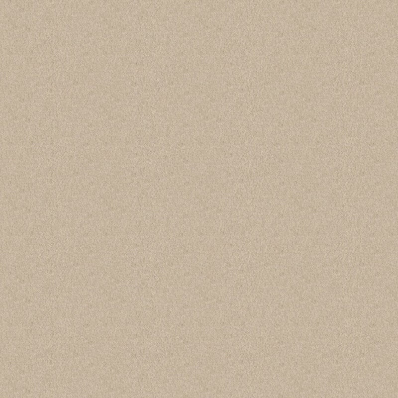 Miami carpet by Masland