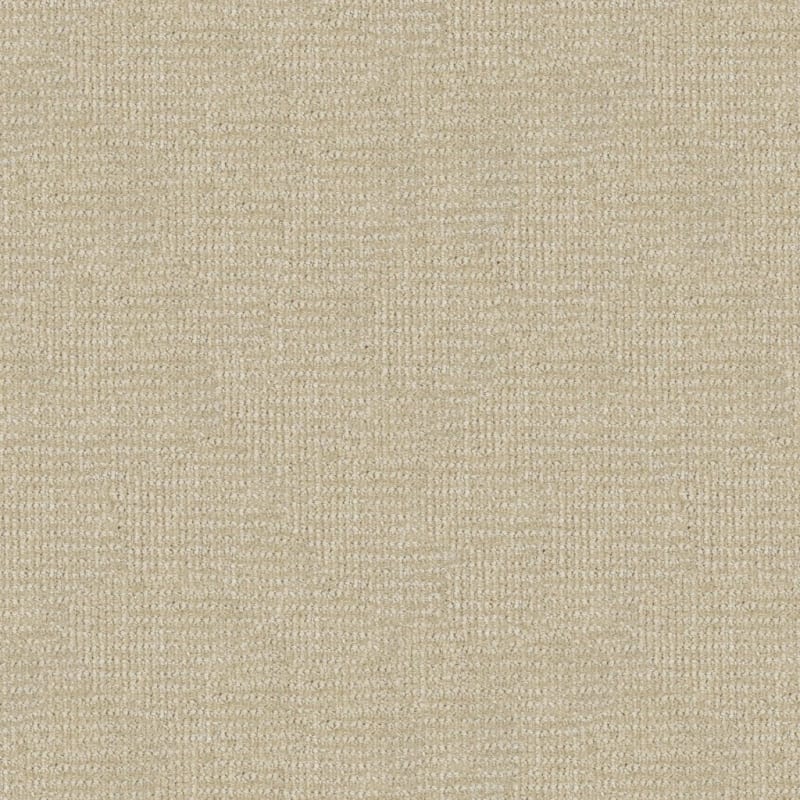 Serene Touch carpet by Masland
