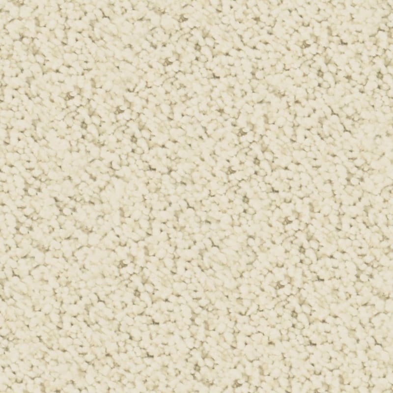 Shangri-La carpet by Masland